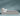 #color_uslargesize_platinum-grey