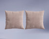 #color_beryllium-blush_2-pillows