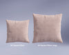 #color_beryllium-blush_2-pillows